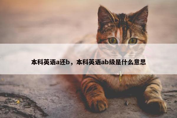 本科英语a还b，本科英语ab级是什么意思