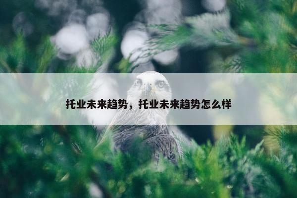 托业未来趋势，托业未来趋势怎么样