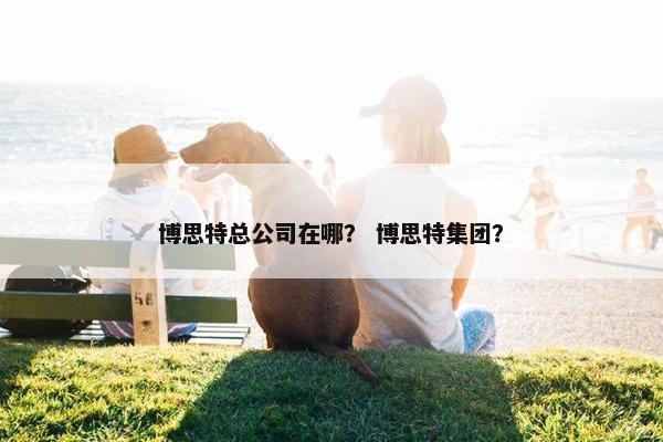 博思特总公司在哪？ 博思特集团？