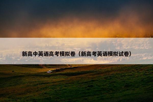 新高中英语高考模拟卷（新高考英语模拟试卷）