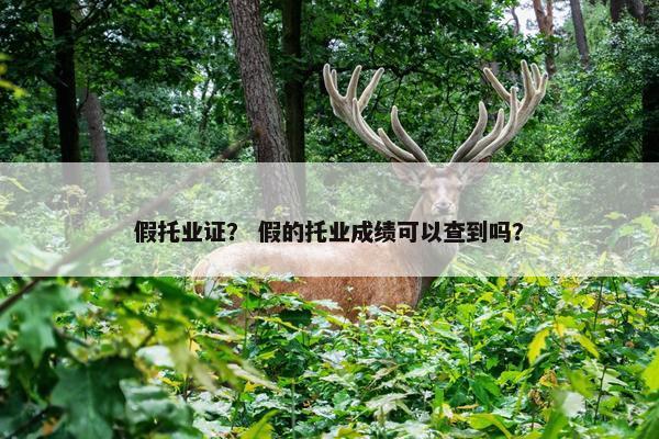 假托业证？ 假的托业成绩可以查到吗？