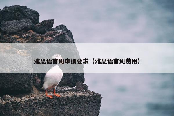 雅思语言班申请要求（雅思语言班费用）