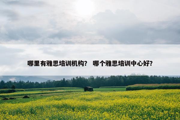 哪里有雅思培训机构？ 哪个雅思培训中心好？