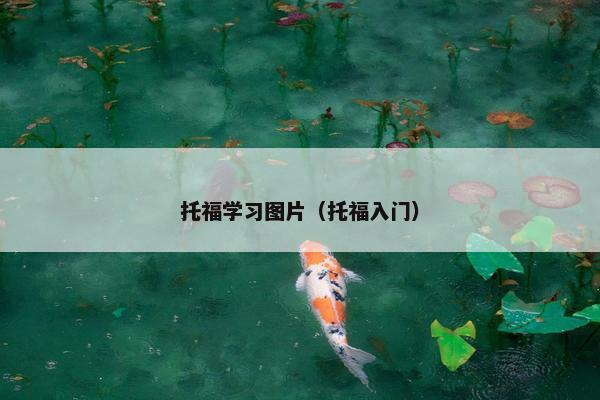 托福学习图片（托福入门）