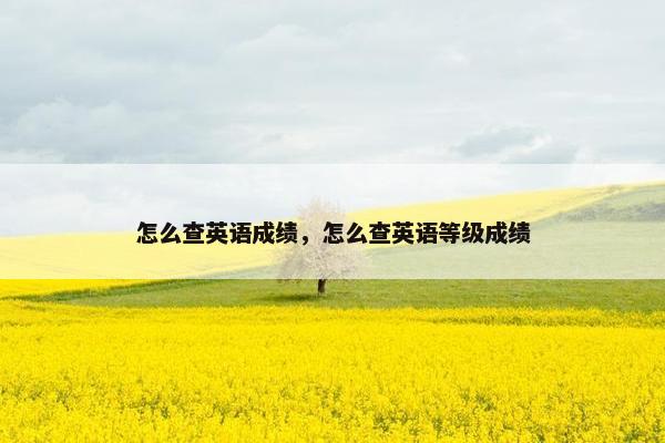 怎么查英语成绩，怎么查英语等级成绩