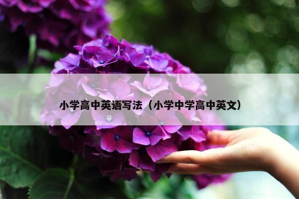 小学高中英语写法（小学中学高中英文）