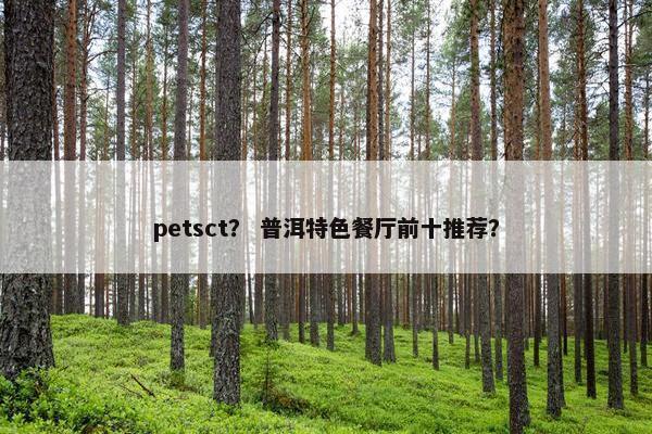 petsct？ 普洱特色餐厅前十推荐？