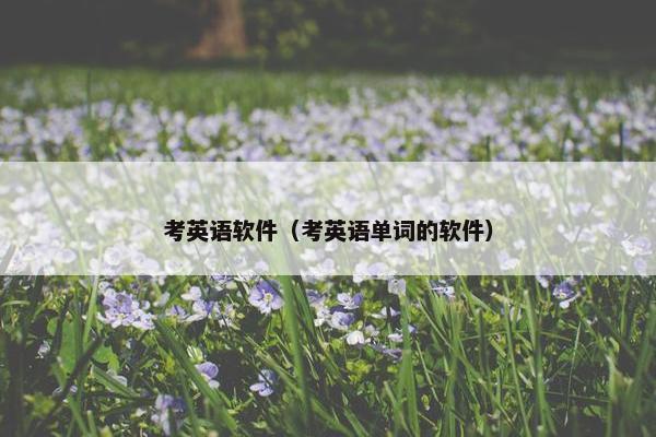 考英语软件（考英语单词的软件）