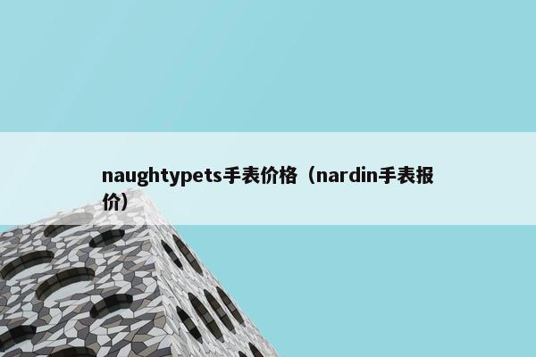 naughtypets手表价格（nardin手表报价）