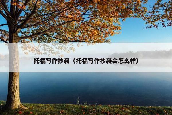 托福写作抄袭（托福写作抄袭会怎么样）
