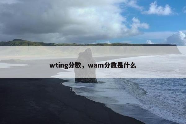 wting分数，wam分数是什么