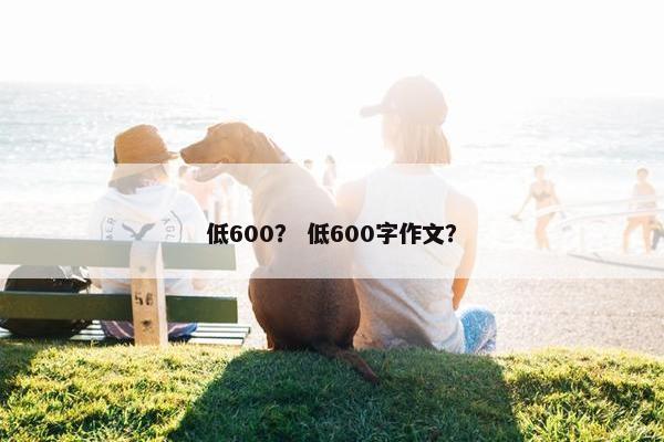 低600？ 低600字作文？