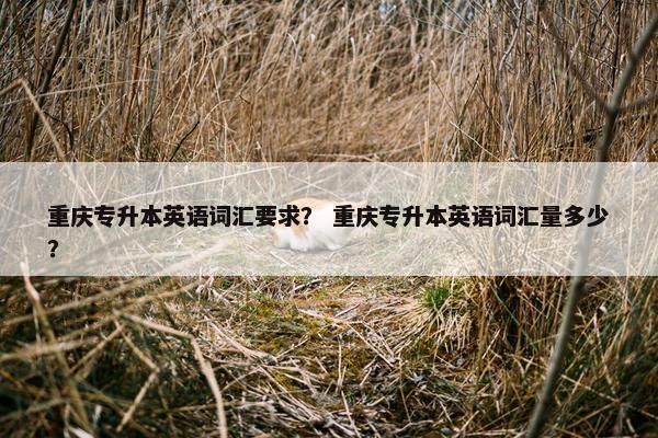 重庆专升本英语词汇要求？ 重庆专升本英语词汇量多少？