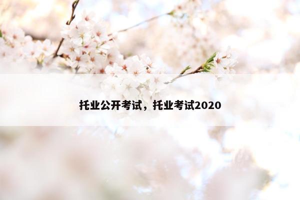 托业公开考试，托业考试2020