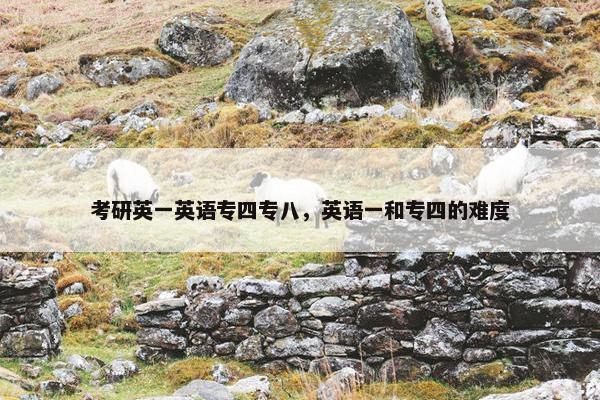 考研英一英语专四专八，英语一和专四的难度