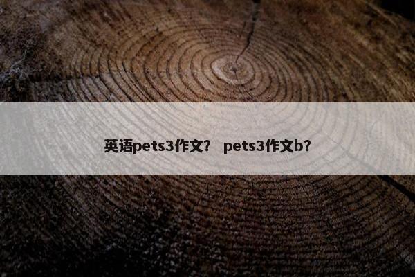 英语pets3作文？ pets3作文b？