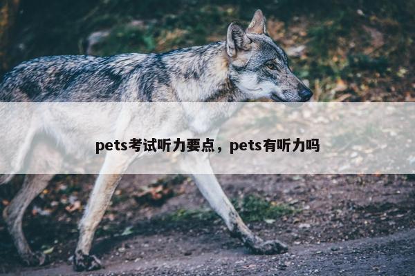 pets考试听力要点，pets有听力吗
