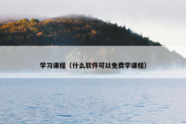 学习课程（什么软件可以免费学课程）