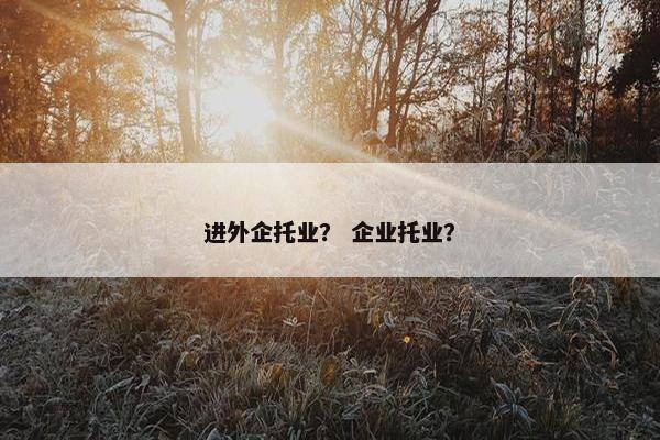 进外企托业？ 企业托业？