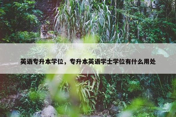 英语专升本学位，专升本英语学士学位有什么用处