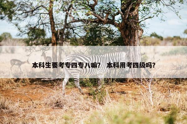 本科生要考专四专八嘛？ 本科用考四级吗？
