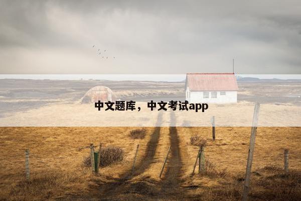 中文题库，中文考试app