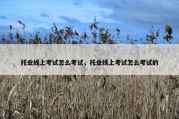 托业线上考试怎么考试，托业线上考试怎么考试的