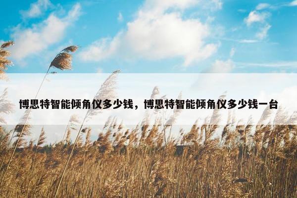 博思特智能倾角仪多少钱，博思特智能倾角仪多少钱一台