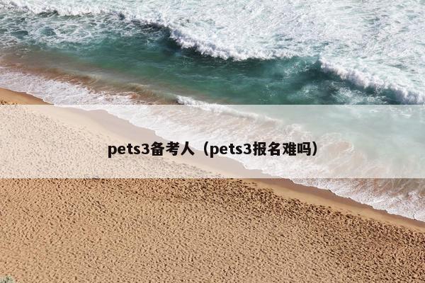 pets3备考人（pets3报名难吗）