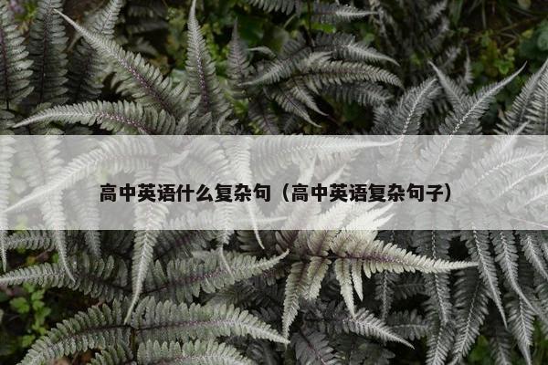 高中英语什么复杂句（高中英语复杂句子）
