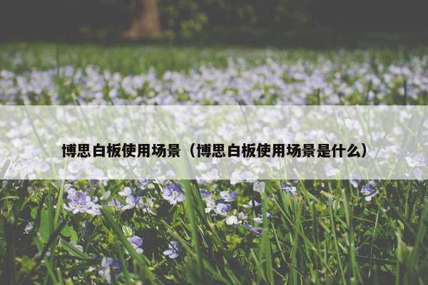 博思白板使用场景（博思白板使用场景是什么）