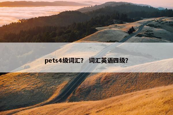 pets4级词汇？ 词汇英语四级？