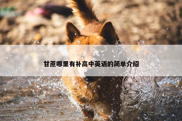 甘蔗哪里有补高中英语的简单介绍