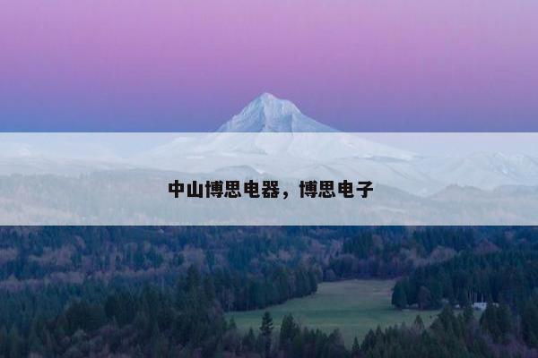 中山博思电器，博思电子