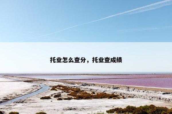 托业怎么查分，托业查成绩