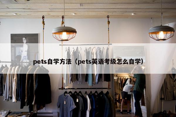 pets自学方法（pets英语考级怎么自学）