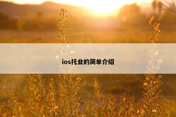 ios托业的简单介绍