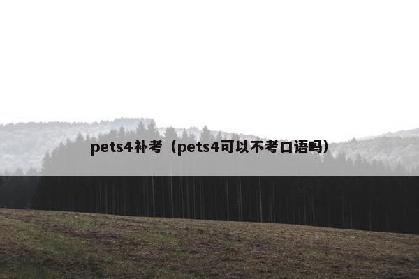 pets4补考（pets4可以不考口语吗）