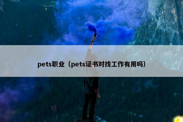 pets职业（pets证书对找工作有用吗）