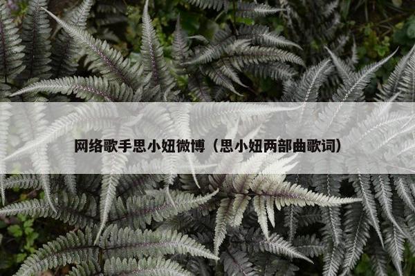 网络歌手思小妞微博（思小妞两部曲歌词）