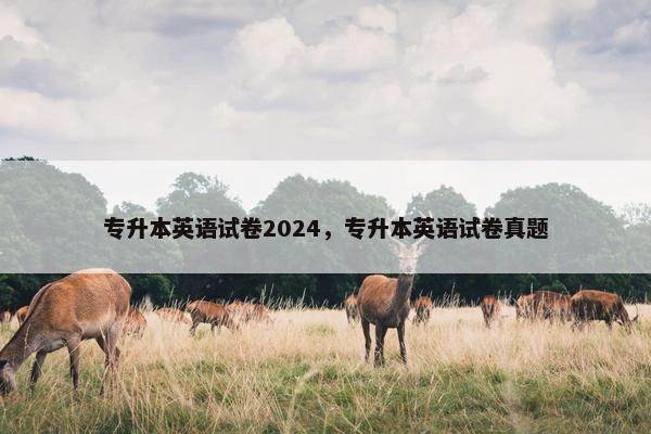 专升本英语试卷2024，专升本英语试卷真题