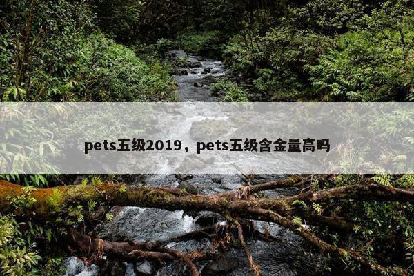 pets五级2019，pets五级含金量高吗