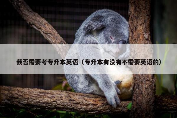 我否需要考专升本英语（专升本有没有不需要英语的）