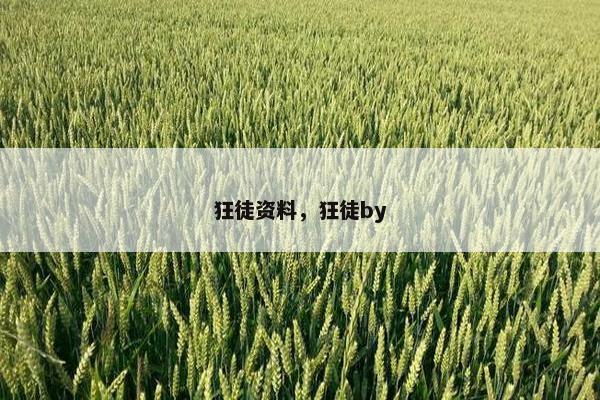 狂徒资料，狂徒by
