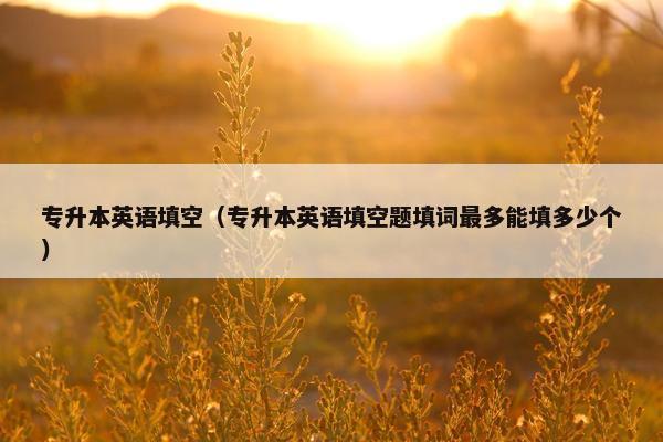 专升本英语填空（专升本英语填空题填词最多能填多少个）