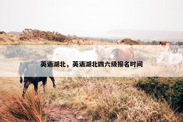 英语湖北，英语湖北四六级报名时间
