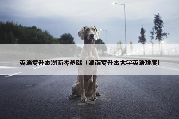 英语专升本湖南零基础（湖南专升本大学英语难度）