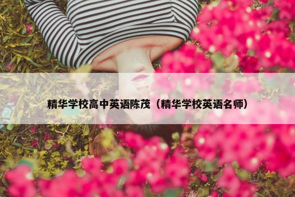 精华学校高中英语陈茂（精华学校英语名师）