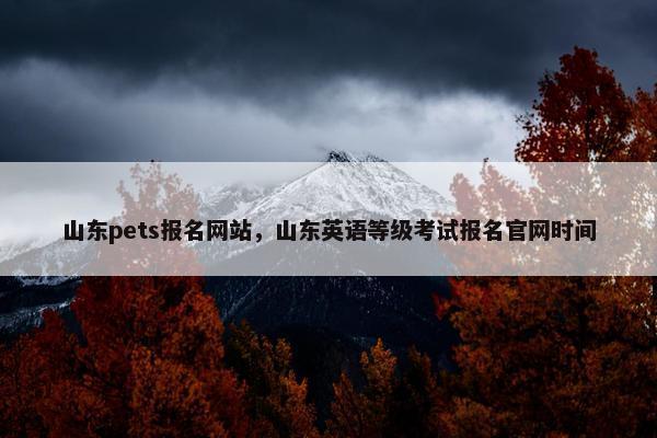山东pets报名网站，山东英语等级考试报名官网时间
