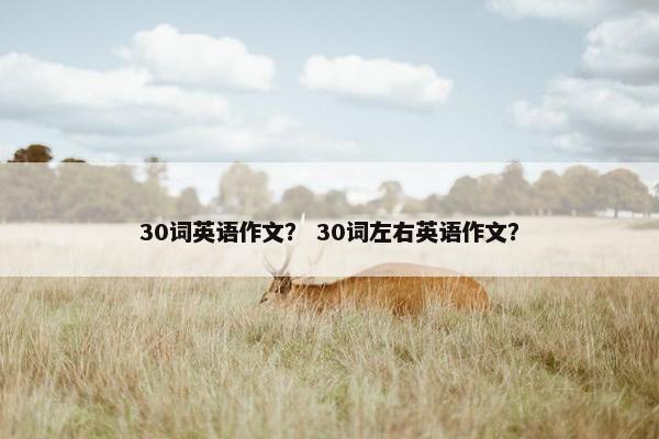 30词英语作文？ 30词左右英语作文？